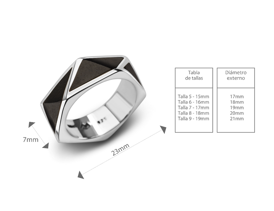 Anillo Homenaje a la obra de Michael Maltzan Architecture. Casa Pittman Dowell. Plata .925 y madera de cueramo